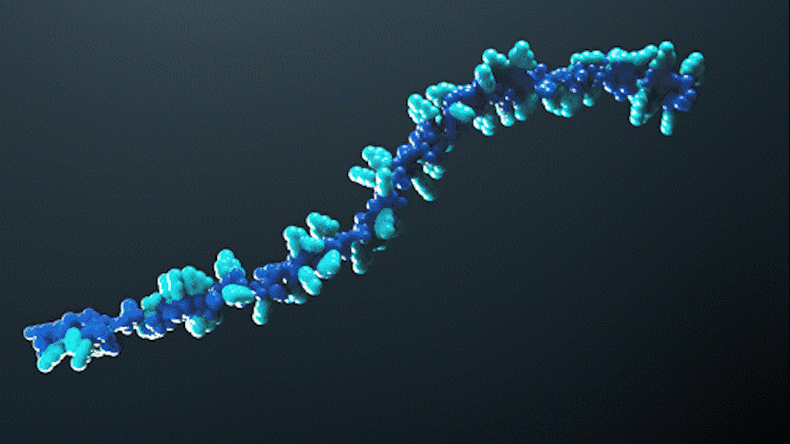RNA in disguise RNA in disguise