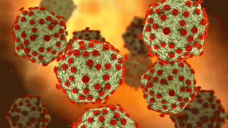 HIV virus Image of HIV virus