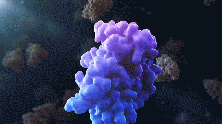 Molecular glues bring proteins together. Molecular glues bring proteins together.