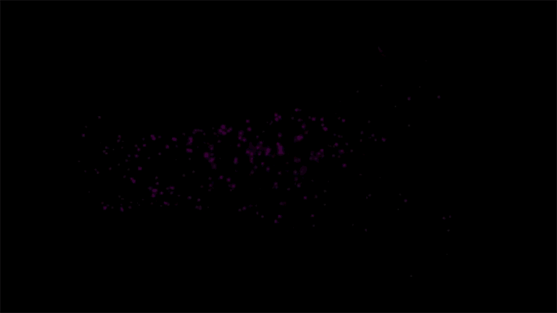 Tubulin proteins in a neuron Super-resolution microscopes reveal tubulin proteins in a neuron.