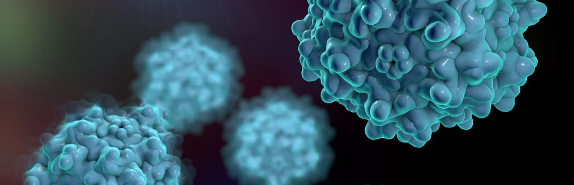 Adeno-associated viruses