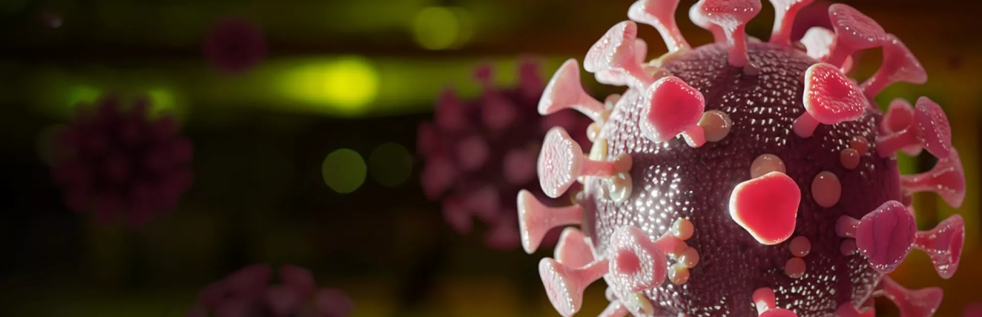 SARS-CoV-2, the virus that causes COVID-19