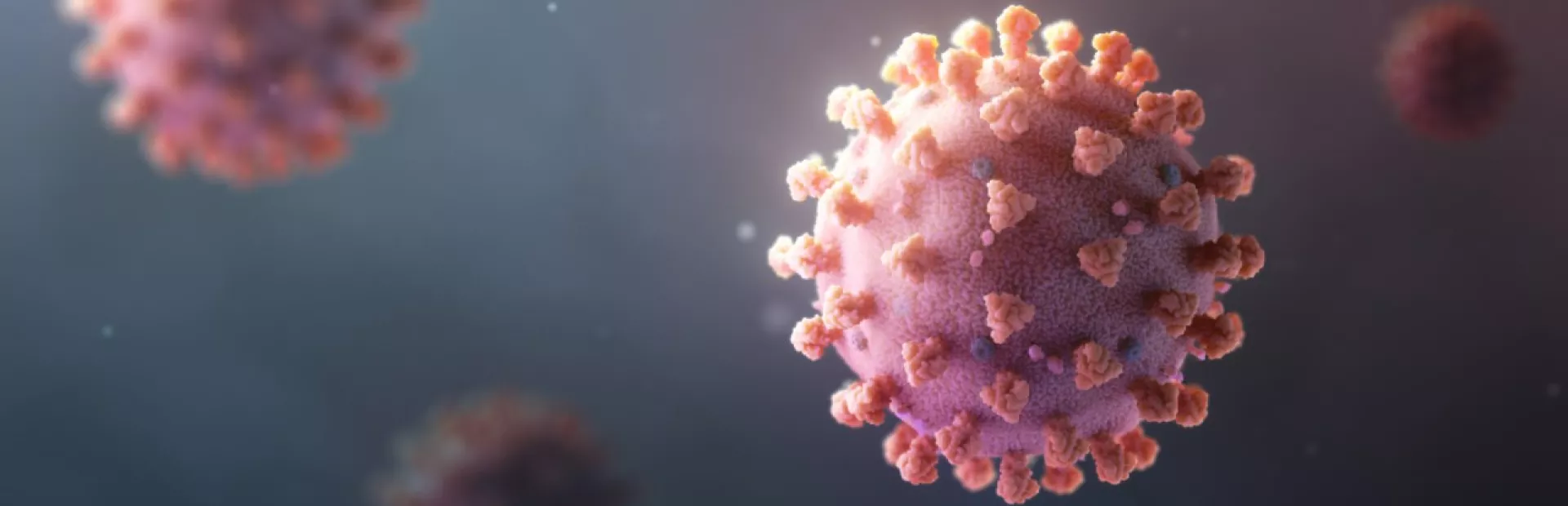 Coronavirus