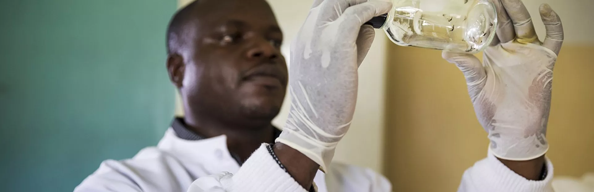 Malaria researcher