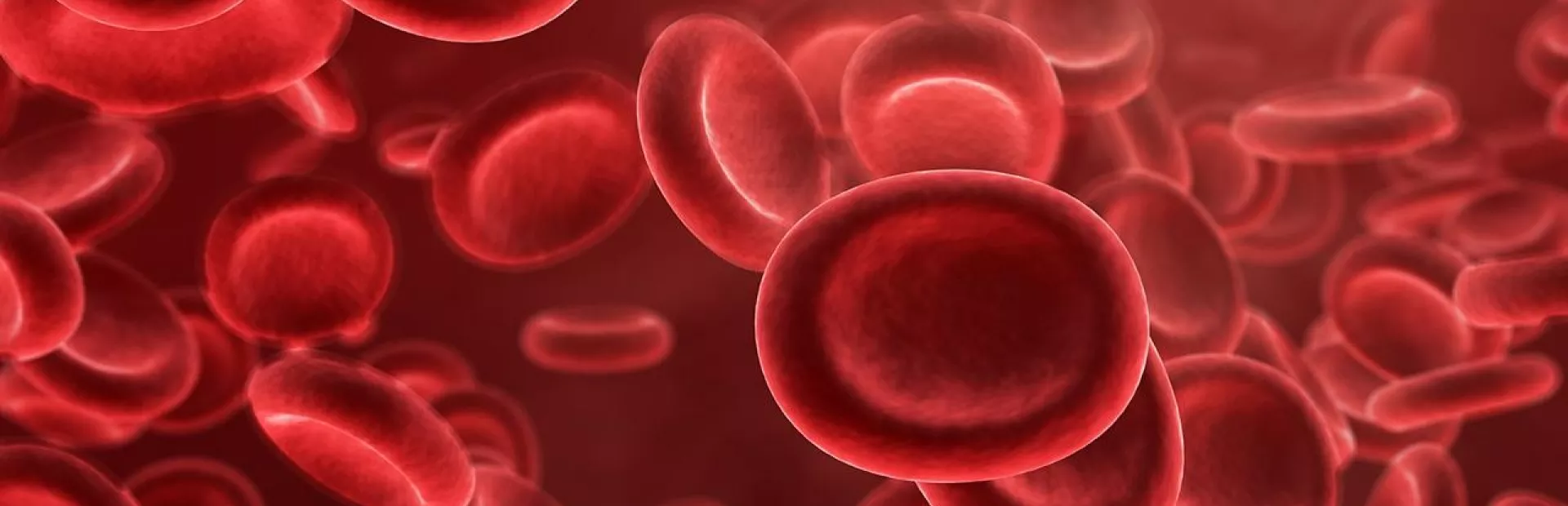 Rebuilding blood
