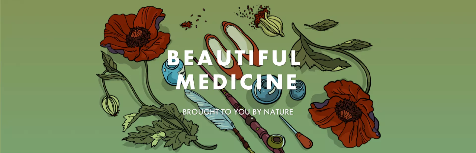 Rediscovering the power of nature’s exquisite complexity
