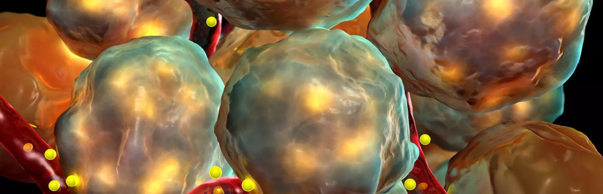 Artistic rendering of beta cells in the pancreas that produce insulin.