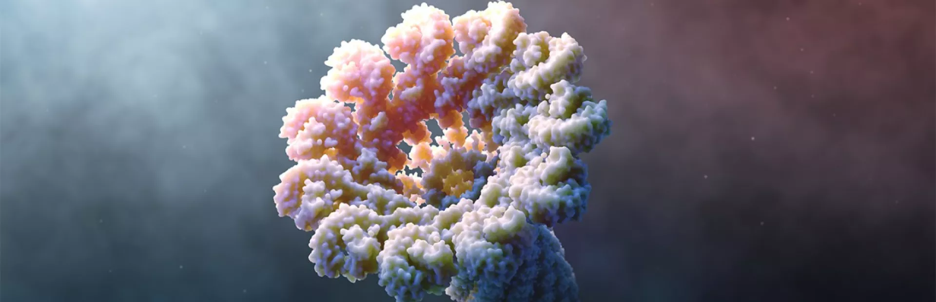 The inflammasome