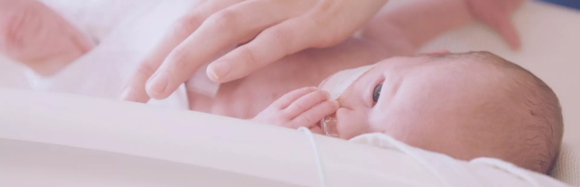 Preterm infant in the neonatology intensive care unit is checked regularly for retinopathy of prematurity (ROP)