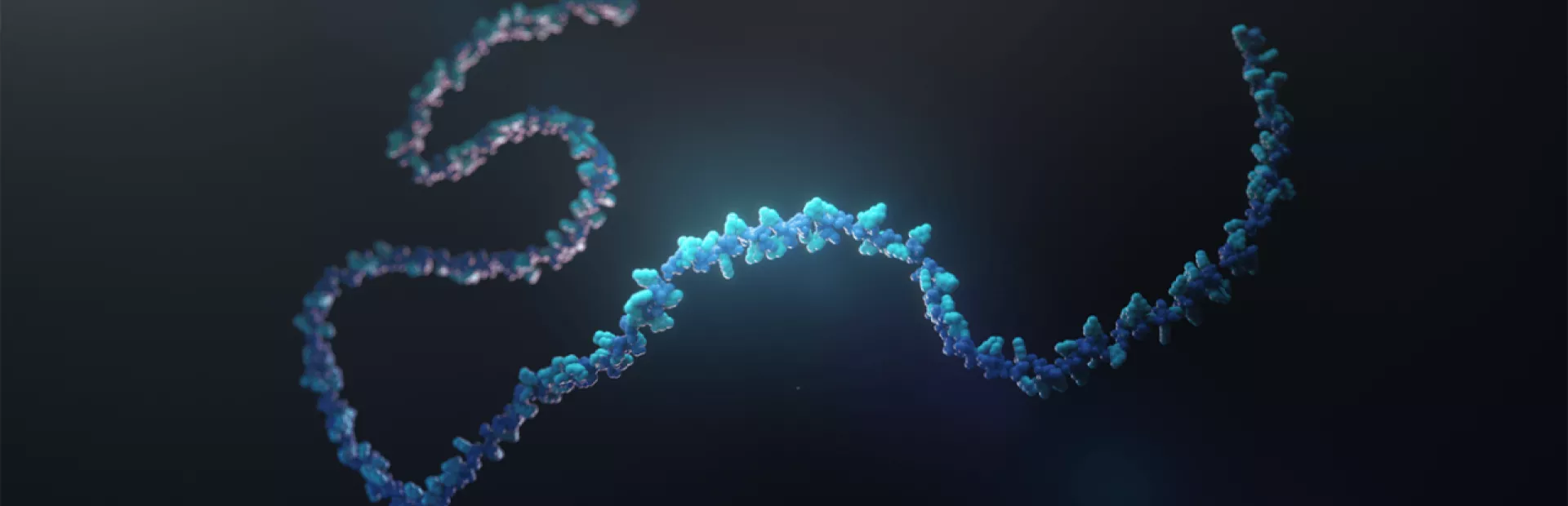 RNA strand