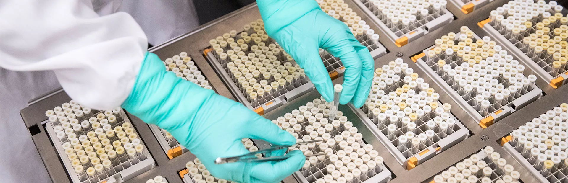 NITD samples