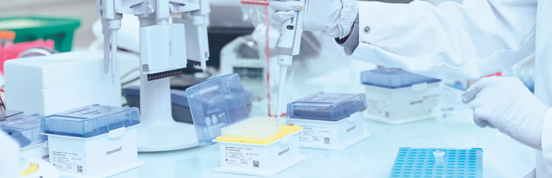 Scientist in lab testing samples