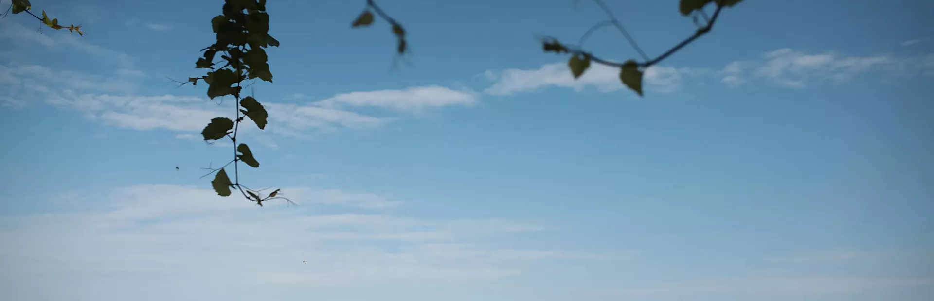 blue sky