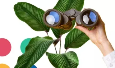 Hand holding binoculars in front of plant Hand holding binoculars in front of plant