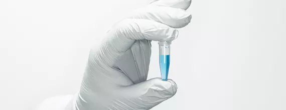 Hand with white glove holding a sample Hand with white glove holding a sample