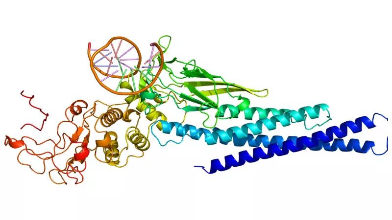 State, a cancer driving protein State, a cancer driving protein