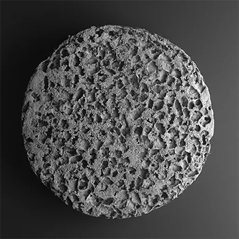 An immunotherapy device. A baby-aspirin-sized immunotherapy device.