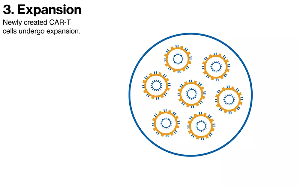 Expansion