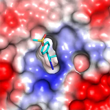 Compound binding eed compound-binding-eed