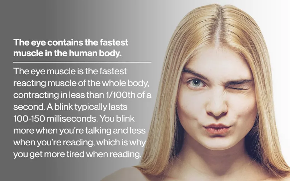 Eye fact 4