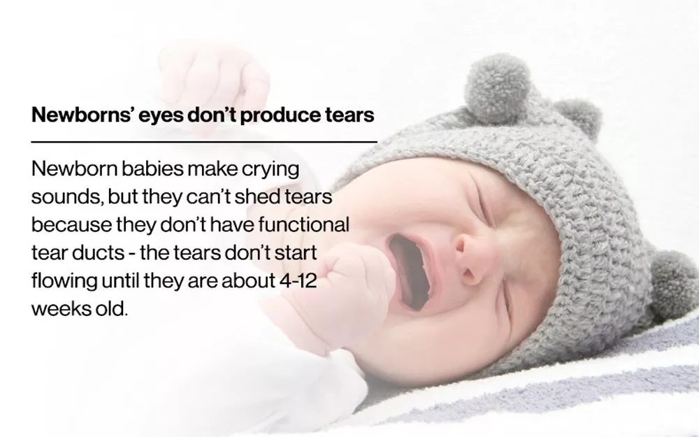 Eye fact 1