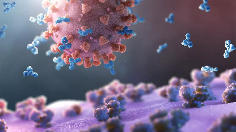 Neutralizing antibodies Neutralizing antibodies