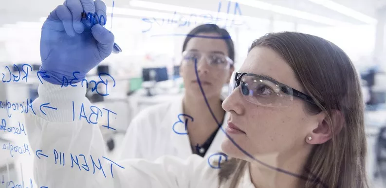Scientists mark up their work on whiteboard Scientists mark up their work on whiteboard