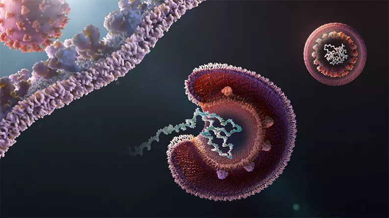 Viral replication is a multistep process Viral replication is a multistep process