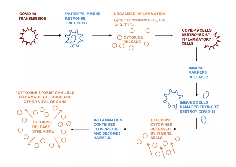 Image representing cytokine release syndrome mechanism Image representing cytokine release syndrome mechanism