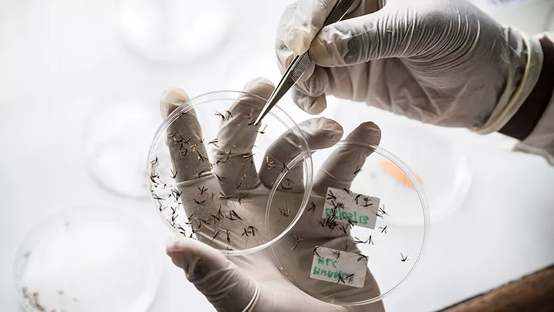Novartis Institute for Tropical Diseases Novartis Institute for Tropical Diseases