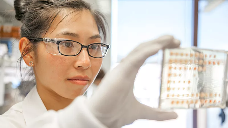 Our Process - Novartis Our Process - Novartis