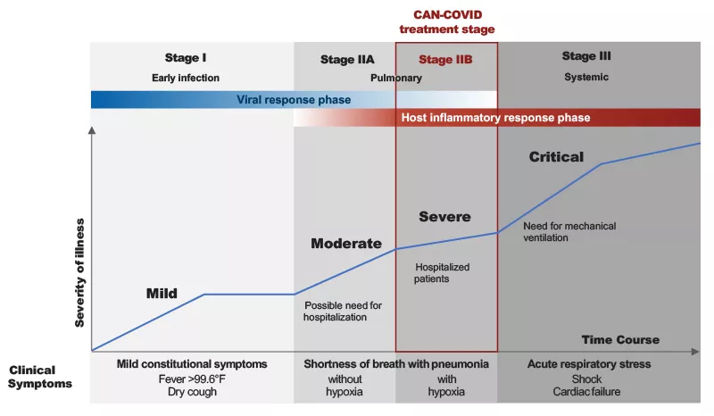 Image showing the 3 stages of COVID-19 progression with the CAN-COVID trial focused on Stage 2b Image showing the 3 stages of COVID-19 progression with the CAN-COVID trial focused on Stage 2b