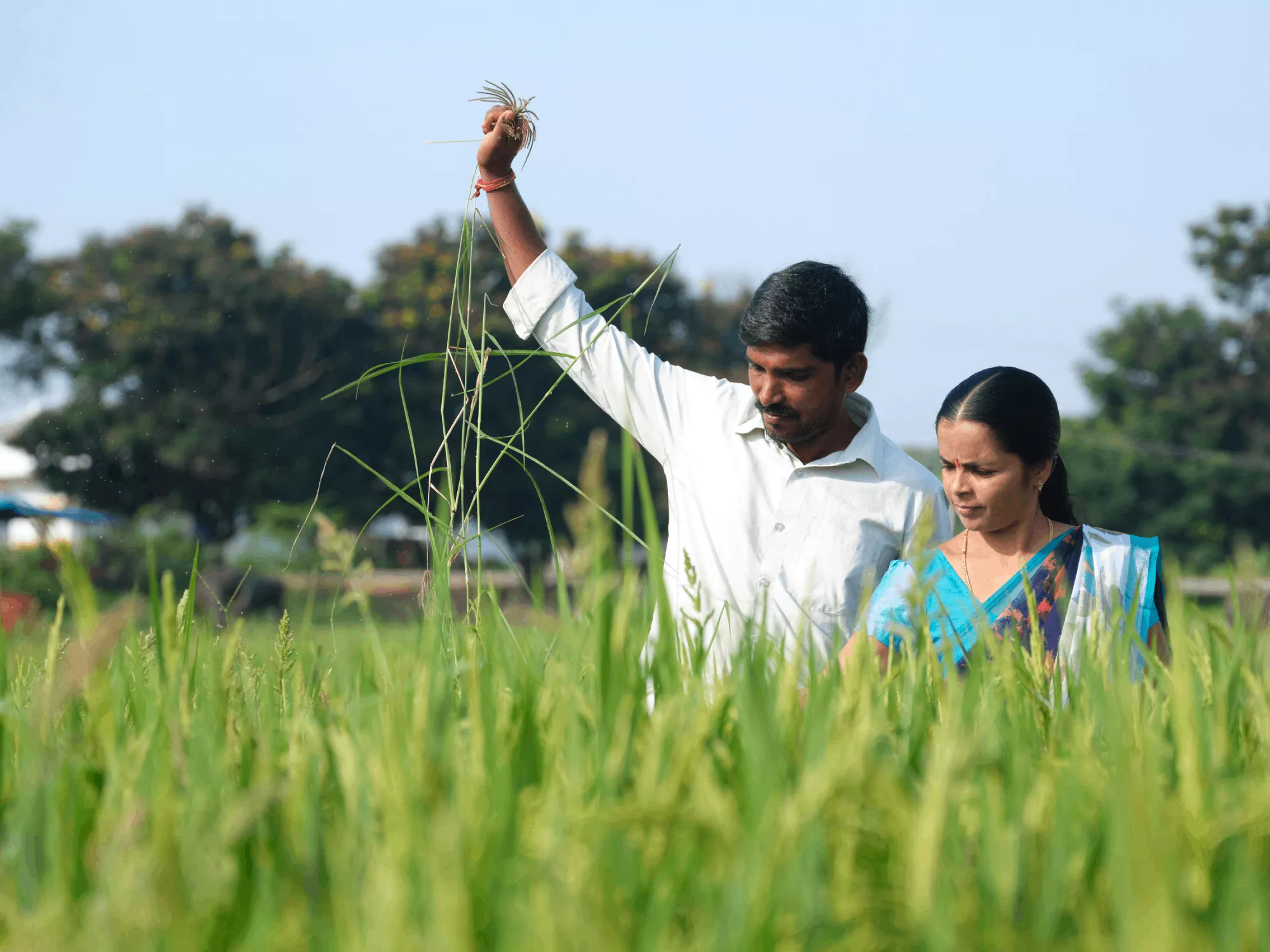 K. Balamani and her husband Malesh