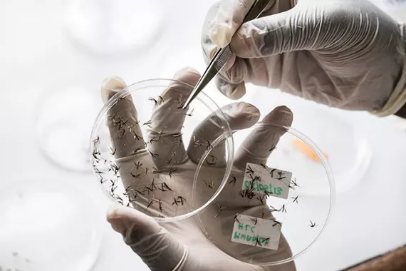 Novartis Institute for Tropical Diseases Novartis Institute for Tropical Diseases