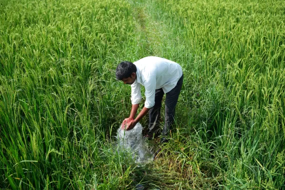 K Malesh, a farmer in the village of Sollakpally, now has ready access to water to irrigate his crops. K Malesh, a farmer in the village of Sollakpally, now has ready access to water to irrigate his crops.
