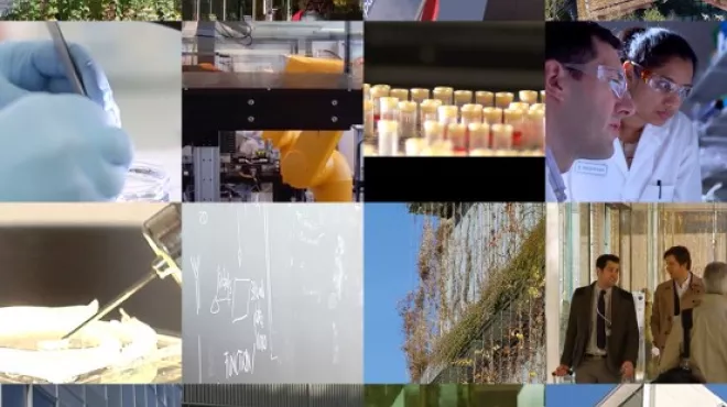 Novartis production and manufacturing B-roll
