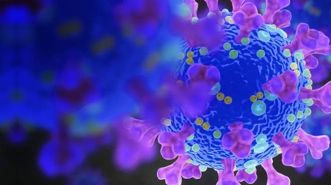 SARS-CoV-2, the novel coronavirus at the root of the COVID-19 pandemic