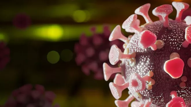 SARS-CoV-2, the virus that causes COVID-19