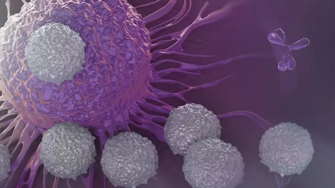 How scientists aim to expand immunotherapy options for cancer patients