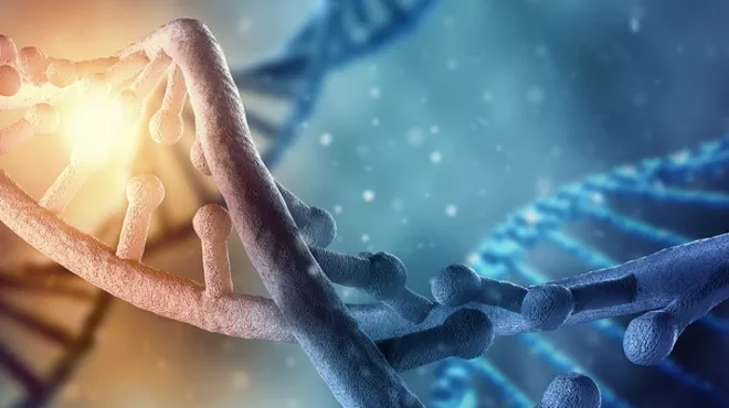 Minion challenges assumptions about the genome