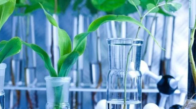 Nurturing the life science ecosystem