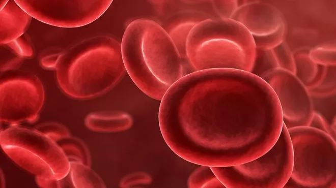 Rebuilding blood
