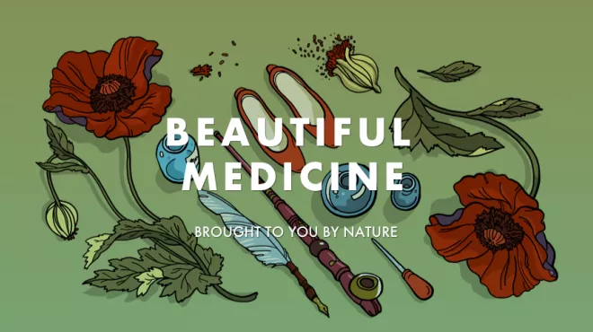 Rediscovering the power of nature’s exquisite complexity