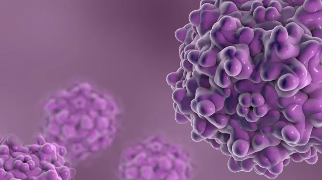 Small viruses for genome editing
