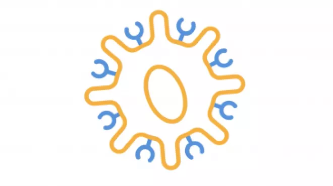 An animated overview of the science behind CAR-T cell therapy.
