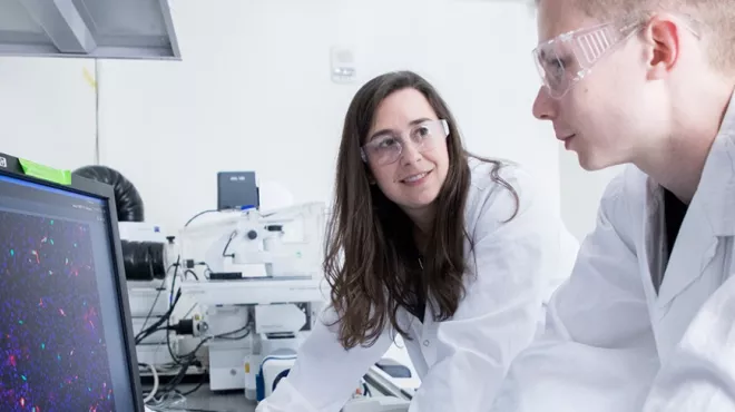Researchers review visuals markers