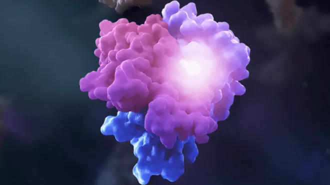 Molecular glues bring proteins together