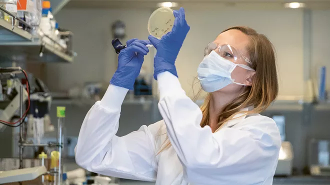 Stephanie Moquin, a post-doc in the Dengue team, works on expressing proteins in a specialized lab at the Novartis research campus in Emeryville.