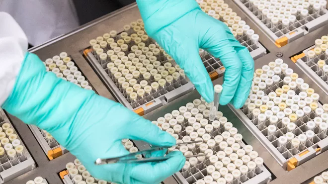 NITD samples