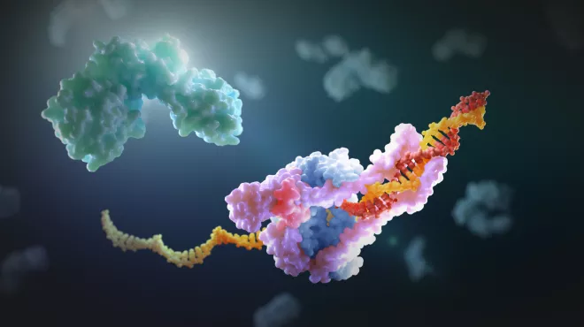 stopping this coronavirus and the next one_0